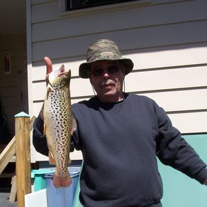 Meet your Posher, Gaetano